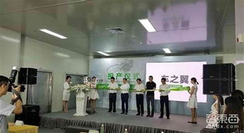 雙蛋節(jié)里的溫暖與智慧 科技中介服務(wù)的“心靈雞湯”